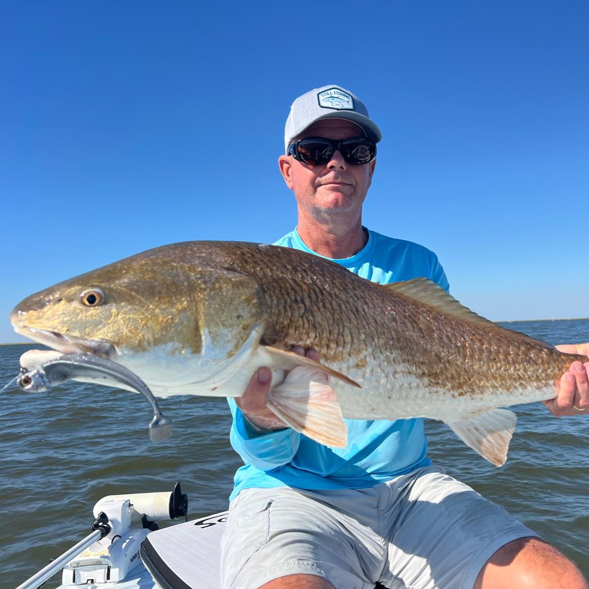 louisiana redfish redfish on an r and r tackle 6 inch silver swimbait