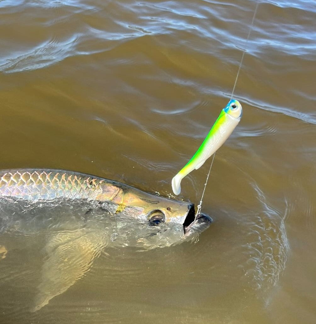6'' Slide Baits Rigged