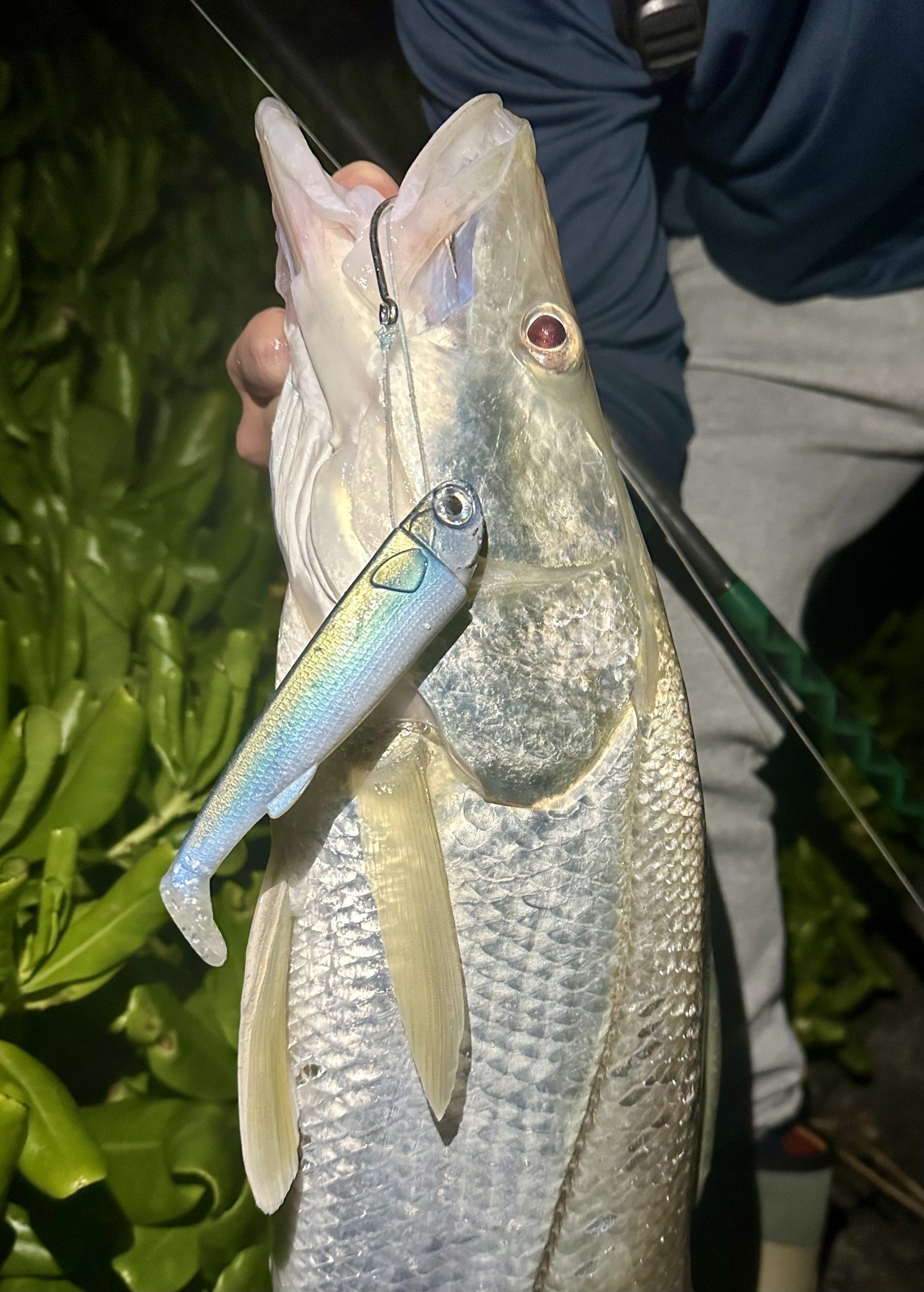 Line-Through Swimbaits vs. Traditional Swimbaits: Why the R&R Tackle Slide Bait Is the Smart Choice for Serious Anglers