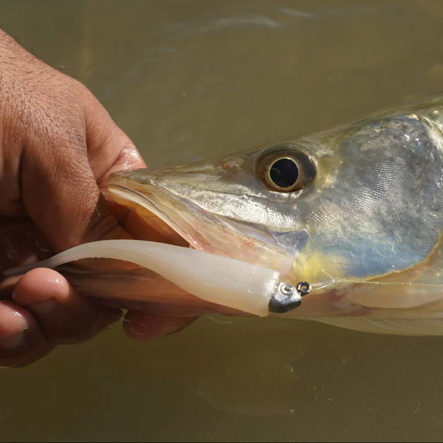 How To Use The Weighted Minnow