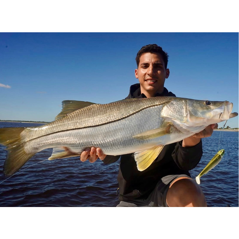 Which Jig Head Should You Pick?