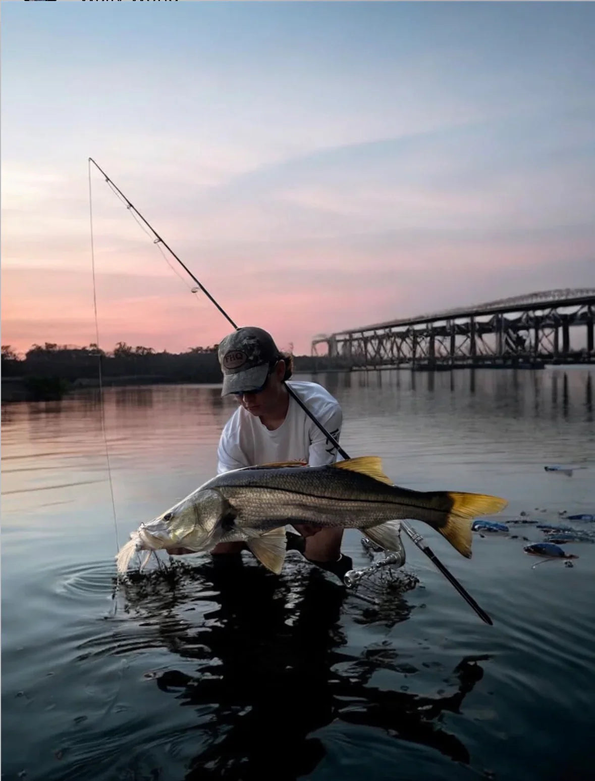 The Art Of Catch & Release