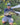 Freshwater Lures