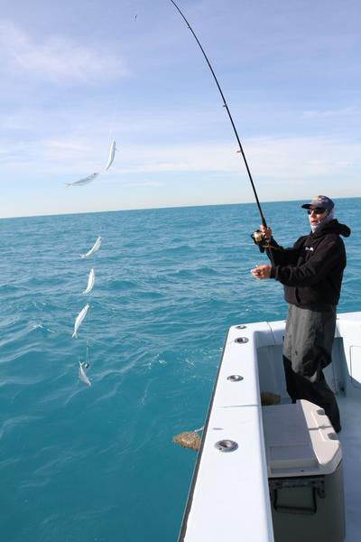 Squid Rigs