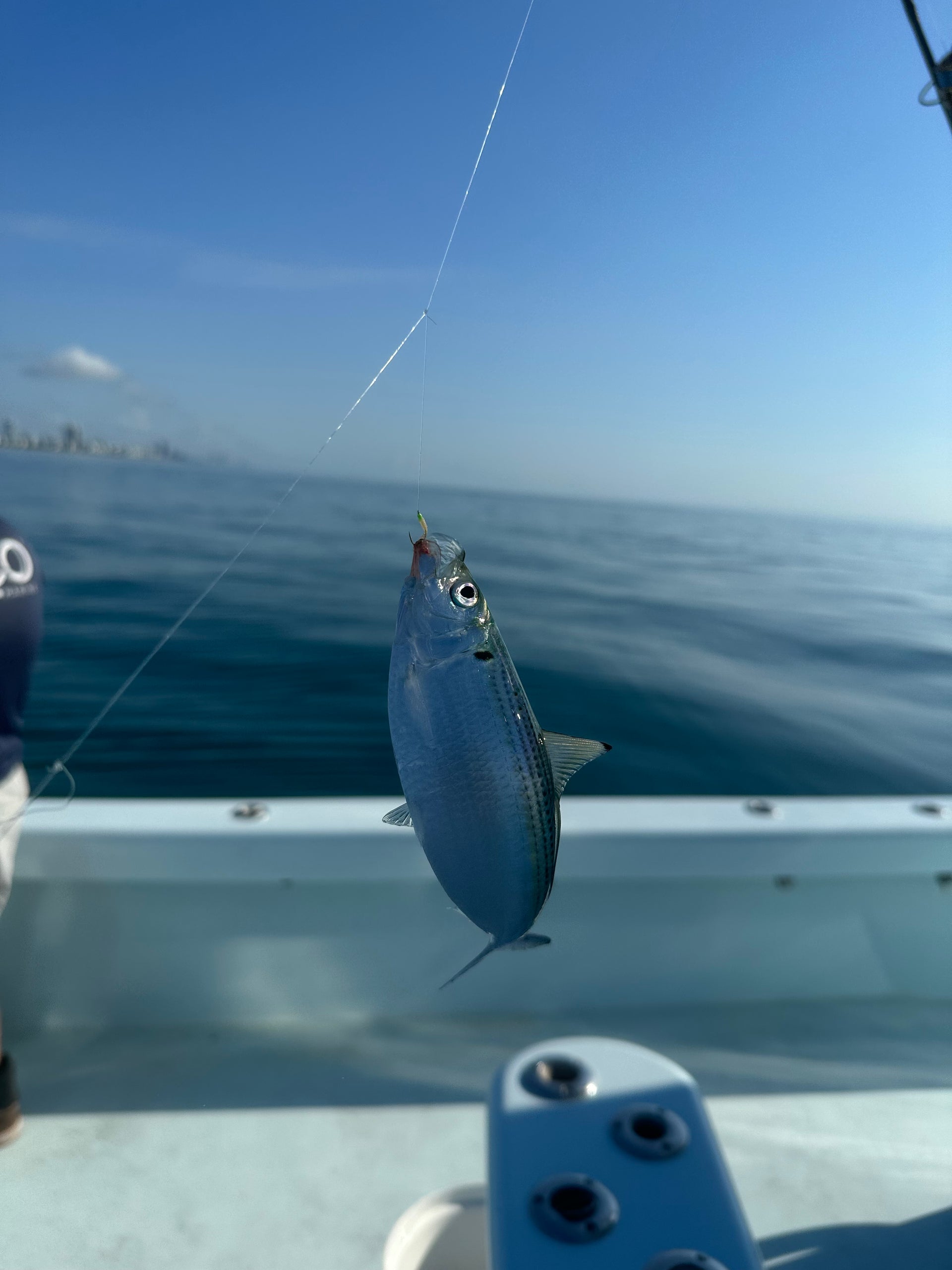 Monofilament Bait Rigs