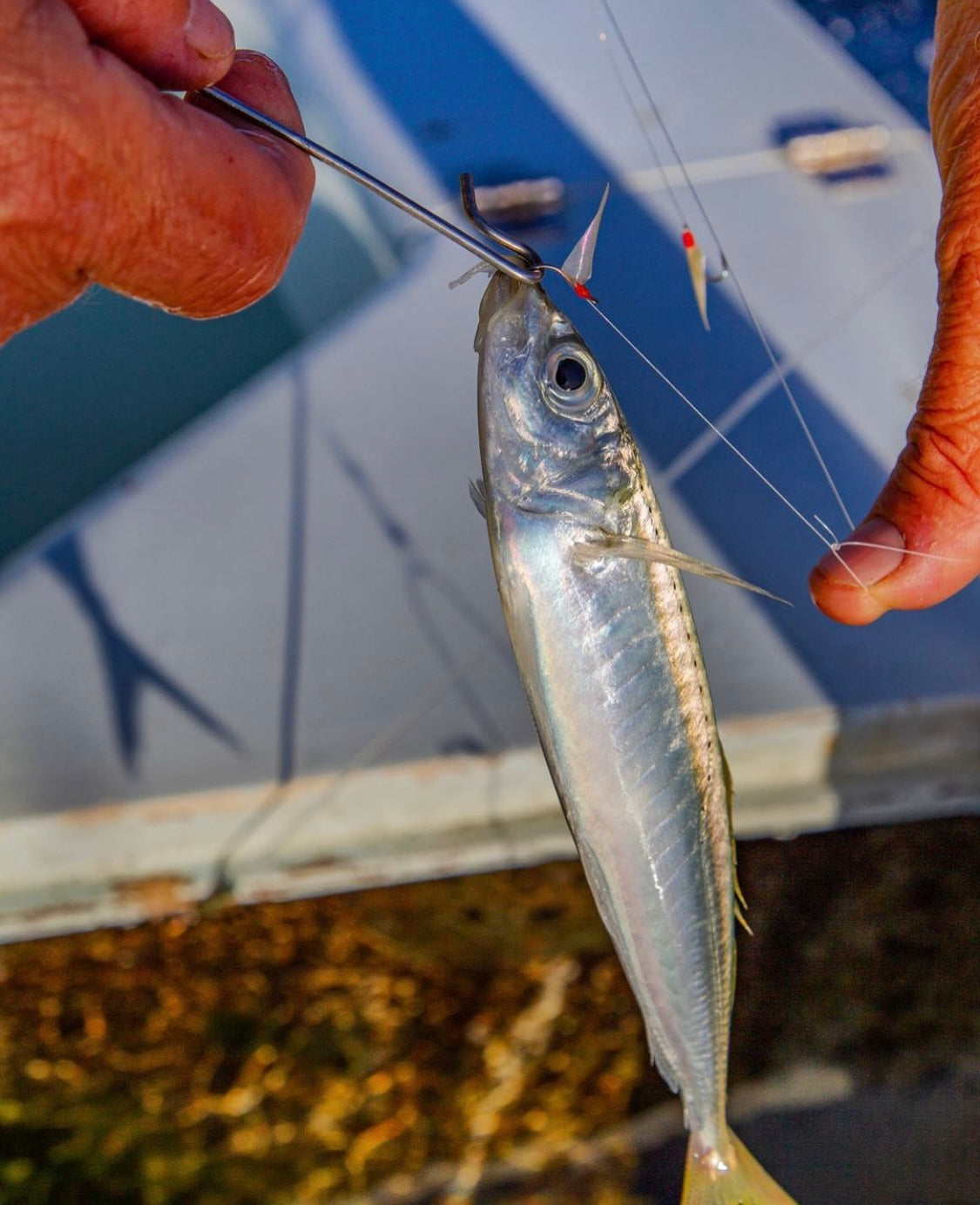 R & R Tackle- Fluorocarbon Bait Rigs-