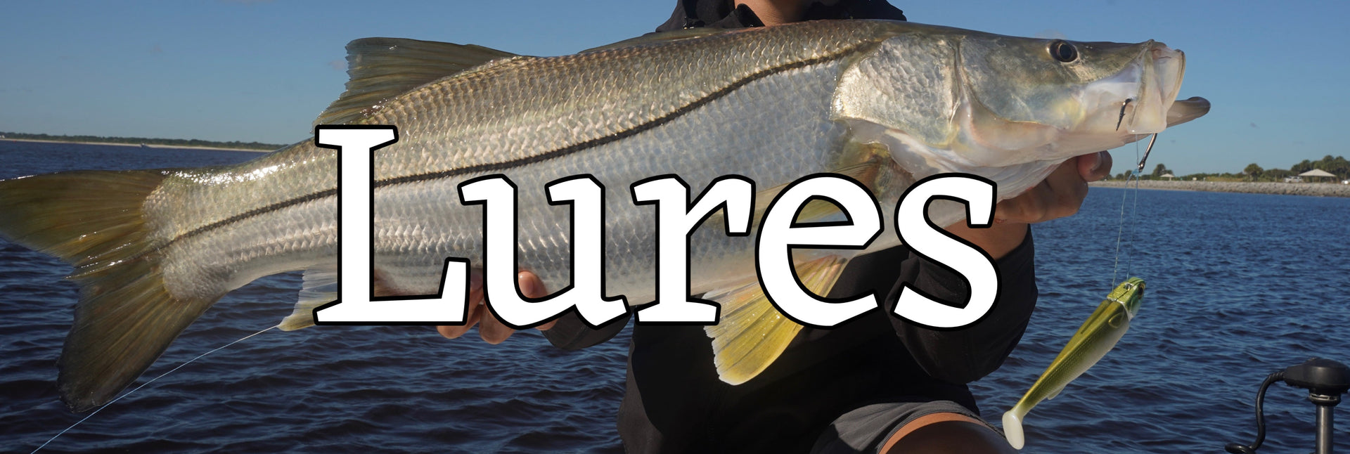 Lures