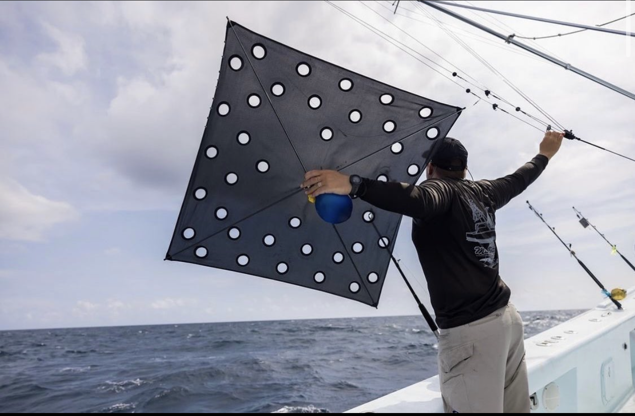 KITE FISHING