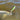 Inshore/ Nearshore Lures