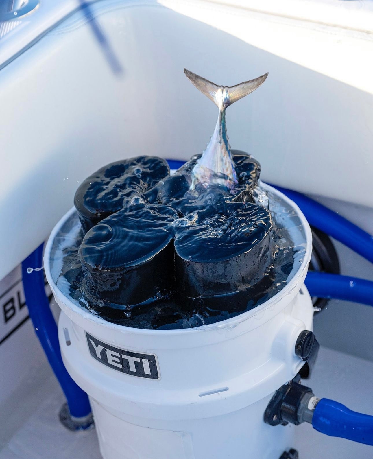 4_hole_bucket_tube R&R Tackle Co. | Premium Saltwater Fishing Tackle.  Innovative Live Bait Bucket Tube system with 4 tubes in a single bucket, designed to hold Bonitos, Blue Runners, and large baitfish for catching Wahoo, Marlin, and pelagics. Each 17-inch oval tube prevents tangles and keeps baits fresh. Keeps baits alive for up to 16 hours. Created by Ray Rosher, Captain of Miss Britt Charter boats in Miami, and now used worldwide for various species, from inshore to offshore fishing.