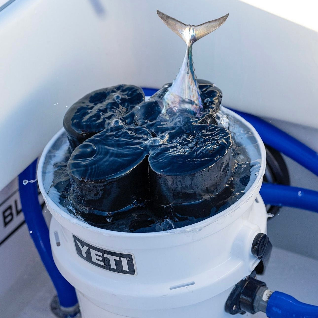 4_hole_bucket_tube R&R Tackle Co. | Premium Saltwater Fishing Tackle.  Innovative Live Bait Bucket Tube system with 4 tubes in a single bucket, designed to hold Bonitos, Blue Runners, and large baitfish for catching Wahoo, Marlin, and pelagics. Each 17-inch oval tube prevents tangles and keeps baits fresh. Keeps baits alive for up to 16 hours. Created by Ray Rosher, Captain of Miss Britt Charter boats in Miami, and now used worldwide for various species, from inshore to offshore fishing.