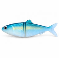 Blue herring Rogue Swimmer