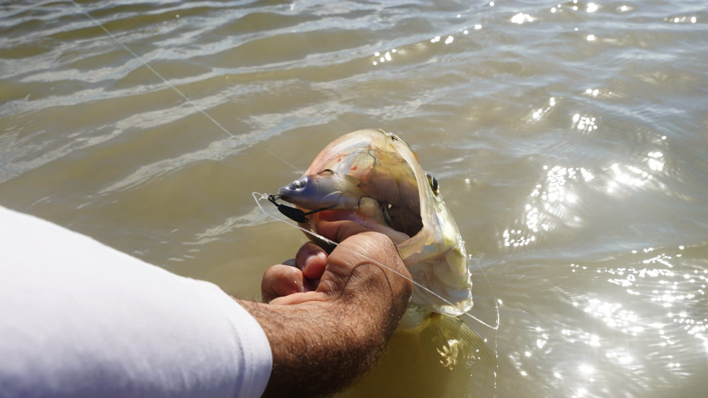 Weedless Willy Soft Plastic Bait – 3.5in Weedless Swimbait