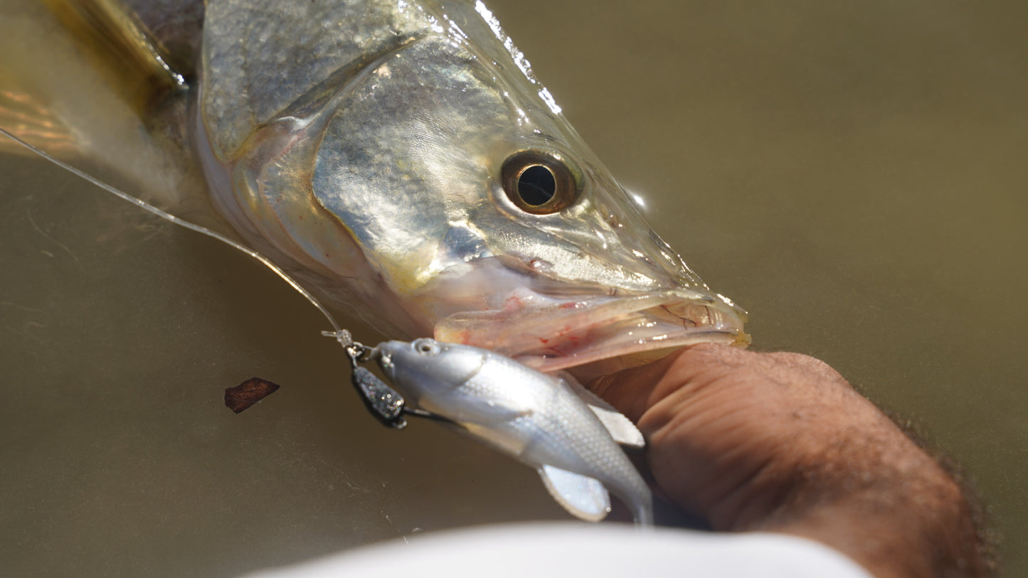 Weedless Willy Soft Plastic Bait – 3.5in Weedless Swimbait