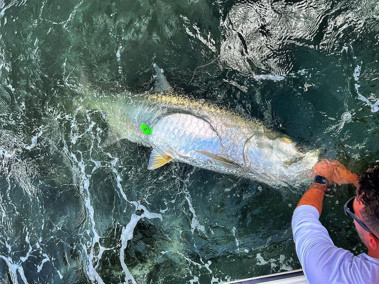 Kite Floats - R&R Tackle Co. | Premium Saltwater Fishing Tackle. The R&amp;R Tackle kite fishing floats are designed for anglers who need durability, visibility, and reliability. Made from high-density foam with nickel-plated brass inserts, they offer excellent corrosion resistance, reduce friction, and protect your line from wear — helping you avoid losing fish due to line breaks.