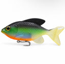 LT Willy Blue Gill
