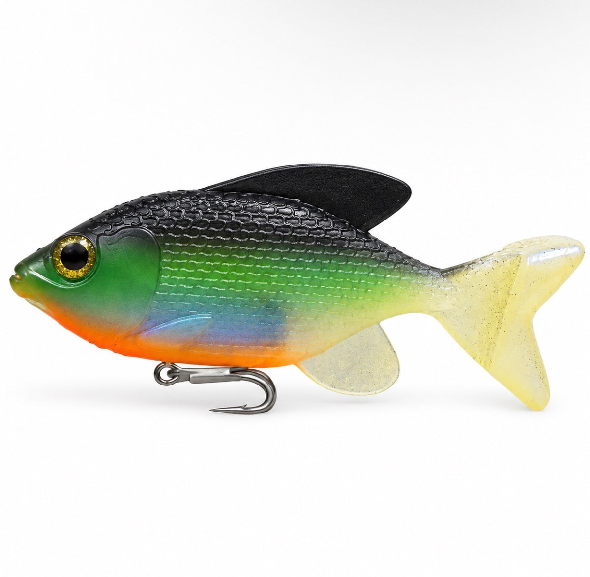 LT Willy Blue Gill
