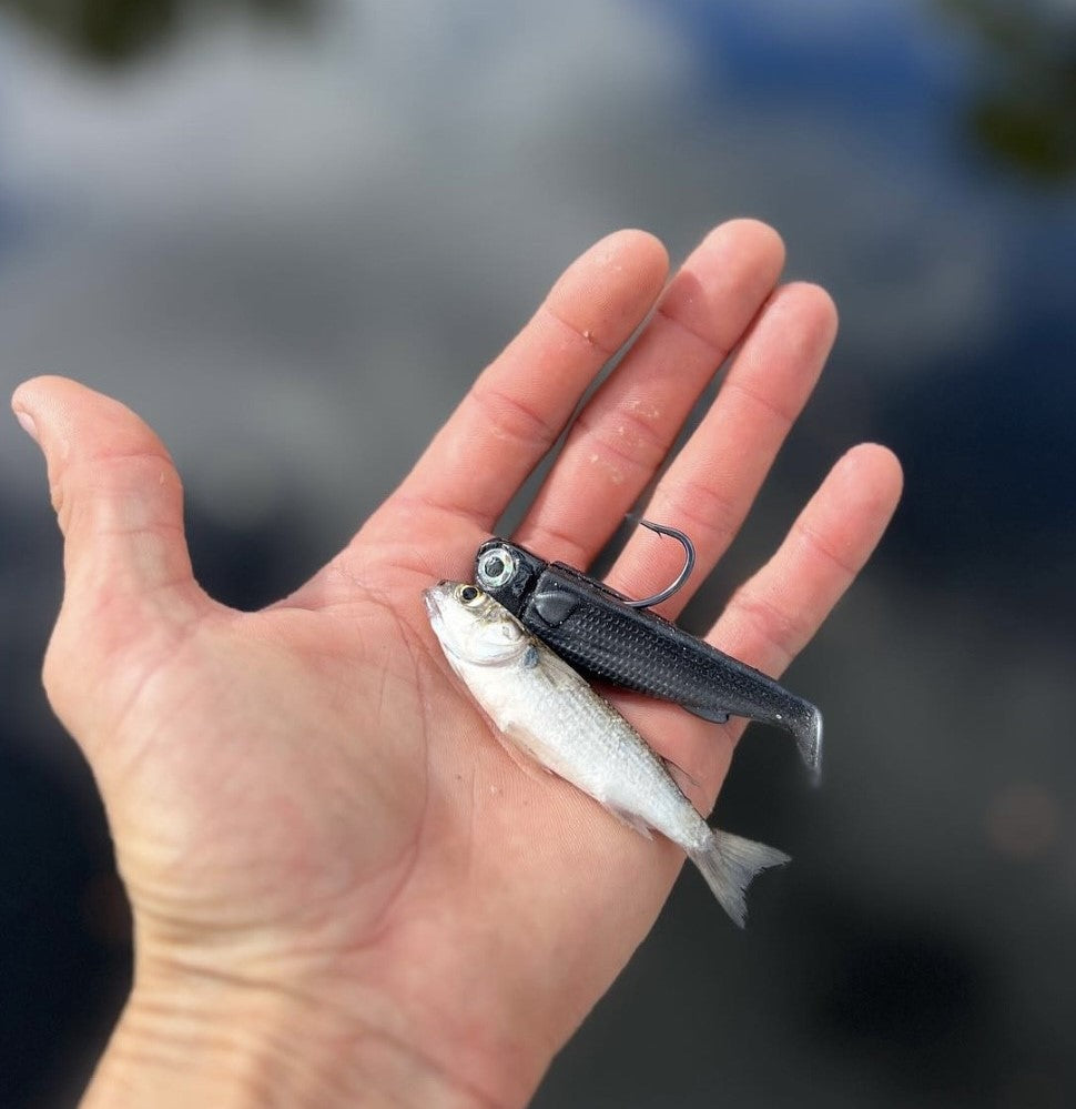 Gunmetal Slide Bait 3 inch 