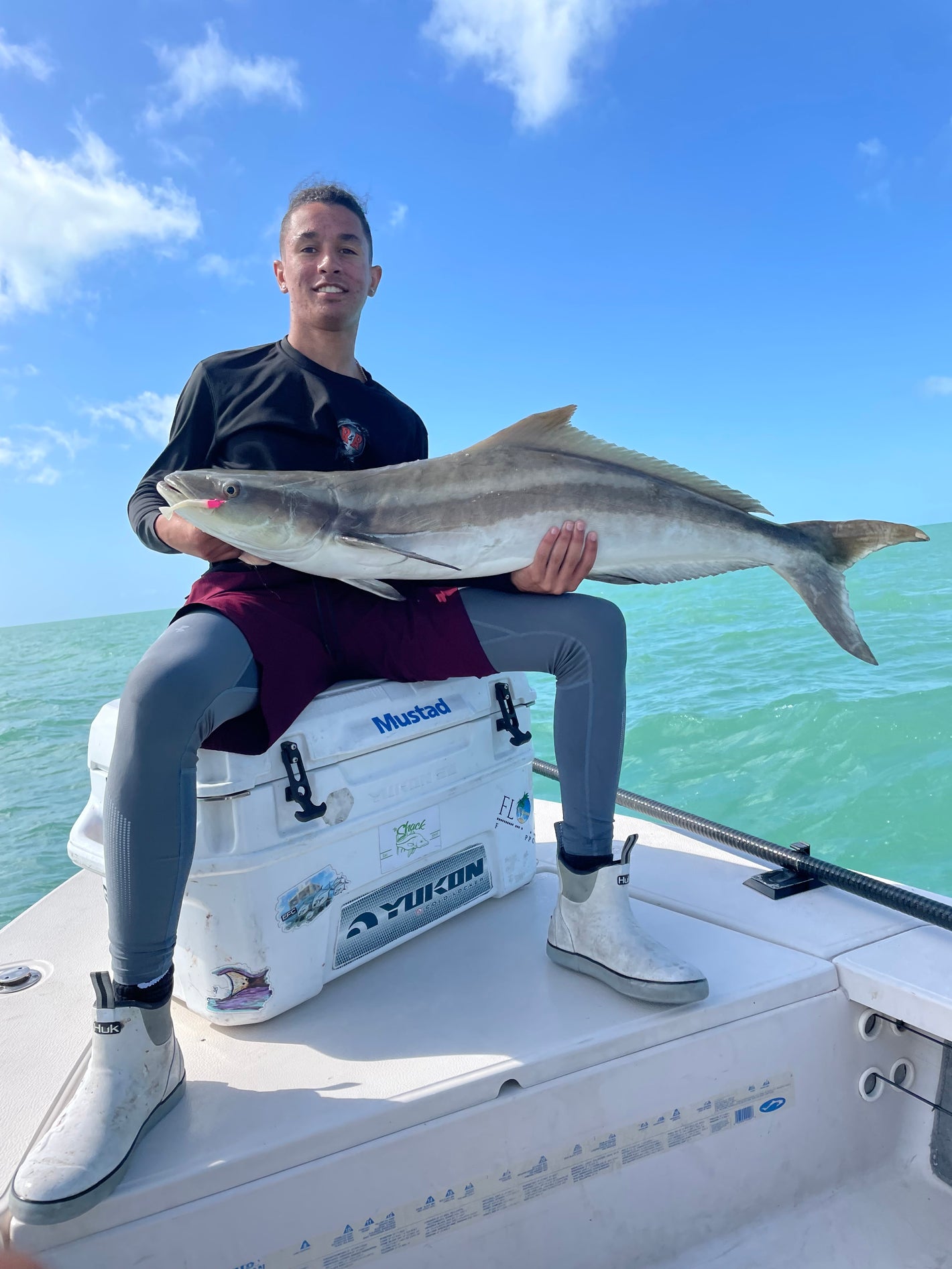 Cobia caught on 3-inch R&R Tackle shrimp jig – compact saltwater lure for sight fishing wrecks, buoys, and offshore structure