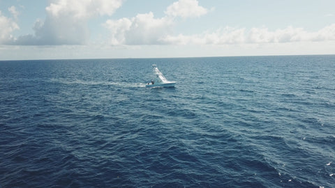 Miss Britt charter boat in action.