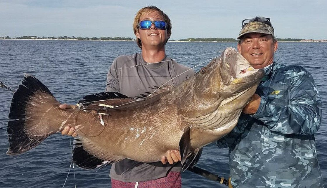 Giant Black grouper caught out of bimini bahamas using a 7/0 randr tackle deep drop rig aboard the miss britt charter boats